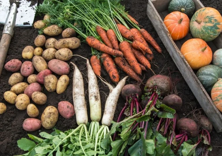 Vegetales Perennes: Tu Huerto que Cosecha Año tras Año