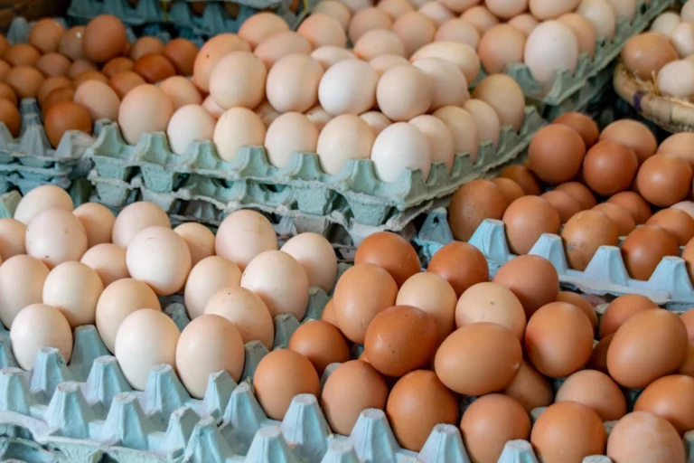 La Influencia de la Alimentación de la Gallina en el Color de la Yema: Todo lo que Necesitas Saber