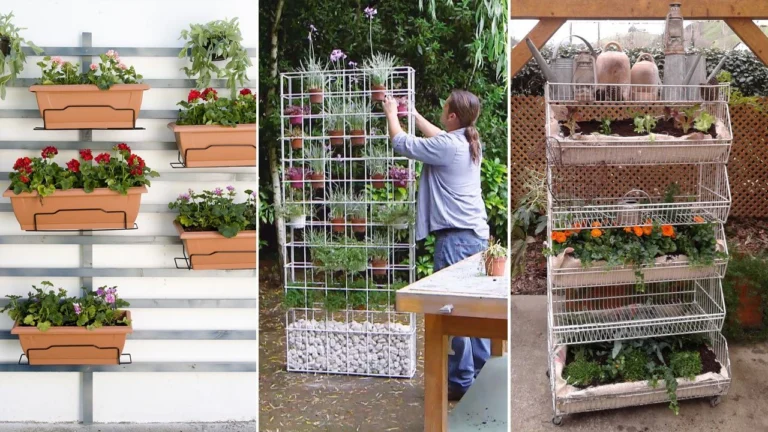 Ideas de enrejados DIY para tu jardín: ¡Crea estructuras útiles y decorativas! 🍅🥒
