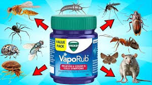 Pomada Mentolada: Tu Aliado Natural Contra los Insectos 🧴🌿