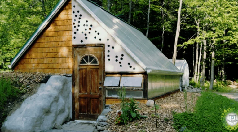 Cultivo todo el año en tu propia serre souterraine: guía completa