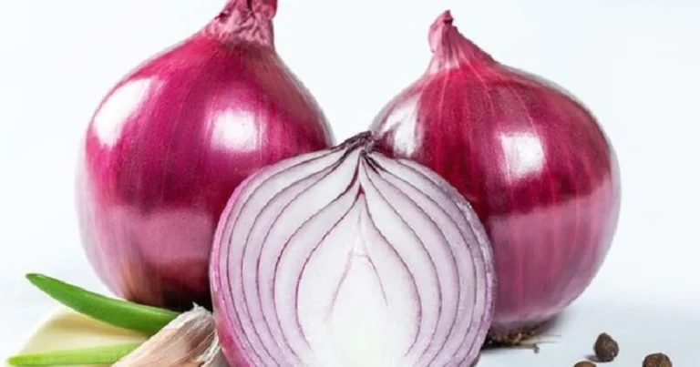 ¡Despídete de ratas, cucarachas e insectos con remedios caseros y naturales!