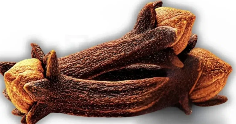 ¡Come clavo de olor a diario! Evita estos 7 errores comunes y aprovecha todos sus beneficios