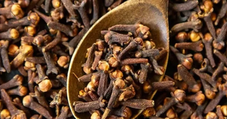 Té Casero de Clavo, Jengibre y Lipton: El Remedio Natural Que Tienes Que Probar