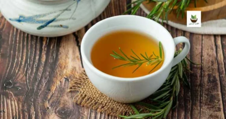 Té de Romero en Ayunas: Guía Completa con Beneficios, Preparación y Consejos