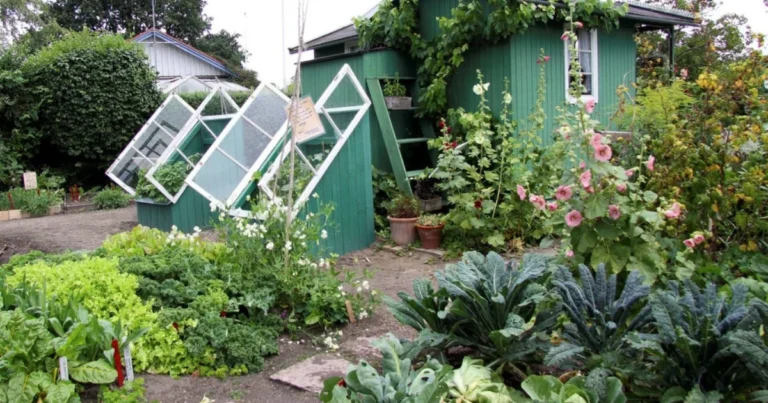 Libélulas en tu jardín: 15 plantas que funcionan como imán natural