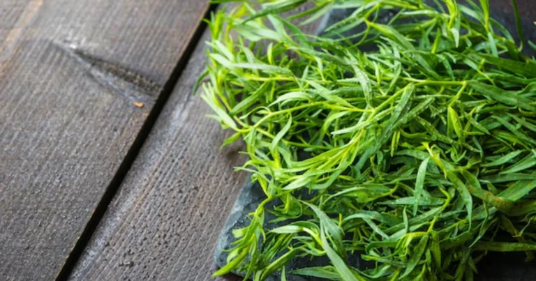 Convierte romero seco en polvo aromático gourmet