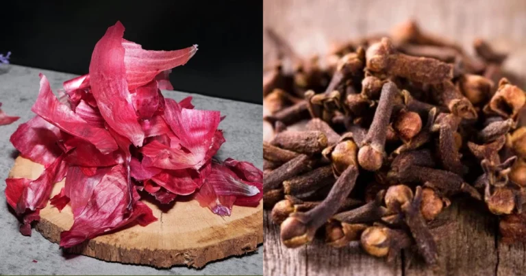 ¡Descubre el Secreto para un Cabello Asombroso con Clavo y Cáscaras de Cebolla!