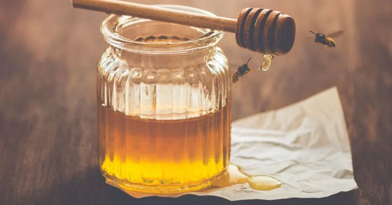 Mascarilla de linaza para cabello seco: recupera brillo, fuerza e hidratación de forma natural