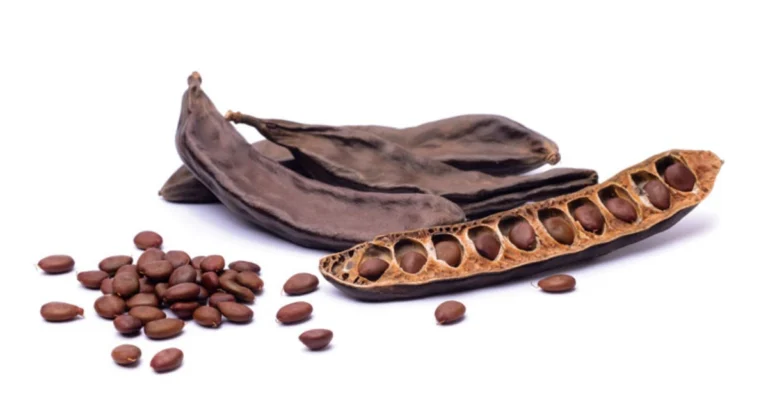 Gbogbo Nise: El Secreto de Belleza Todo-en-Uno que Están Adorando las Mujeres