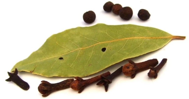 Mezcla de laurel y clavo: tu infusión secreta para reforzar la salud
