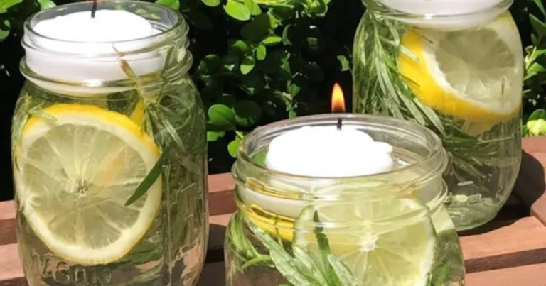 Repelente Natural para Mosquitos: Tu Guía Completa para un Verano Libre de Picaduras