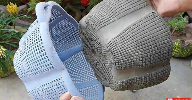 Cómo Crear Macetas Personalizadas Usando Recipientes de Plástico: ¡Una Idea Creativa y Económica!