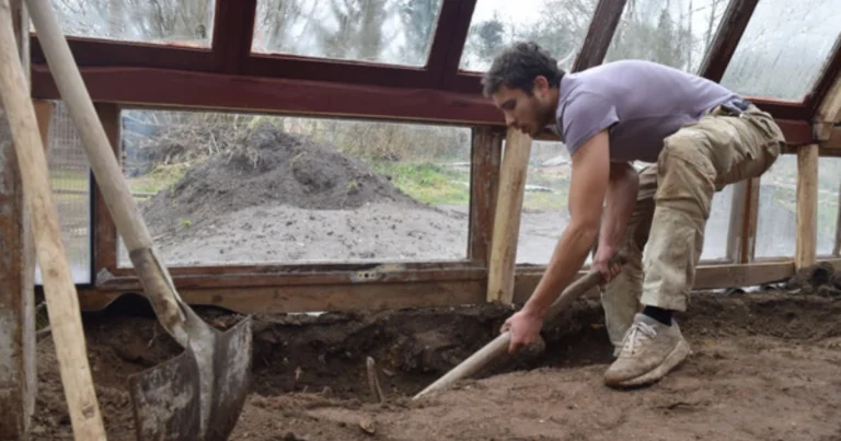 Construye tu propio Invernadero Walipini: Cultiva todo el año de forma sostenible