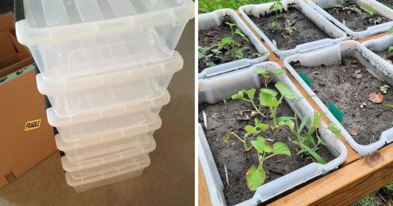 Invernaderos Mini DIY: 22 Ideas, Guía y Beneficios