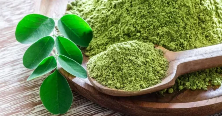 Champú casero para que nazca cabello nuevo: receta con sábila, romero, jengibre y moringa