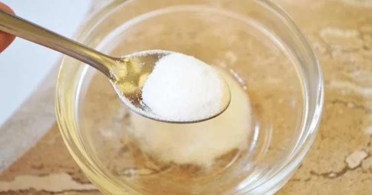 Cómo eliminar las pulgas de tu perro o gato con métodos naturales y seguros