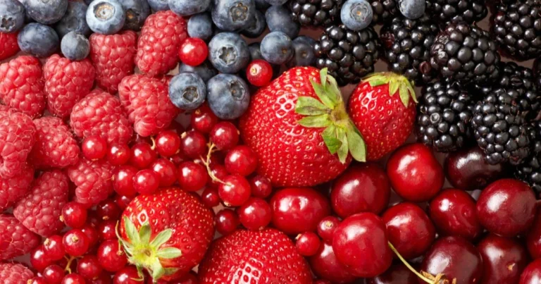 Las Mejores Bayas para Cultivar en Macetas: Dulces, Fáciles y Perfectas para Espacios Pequeños