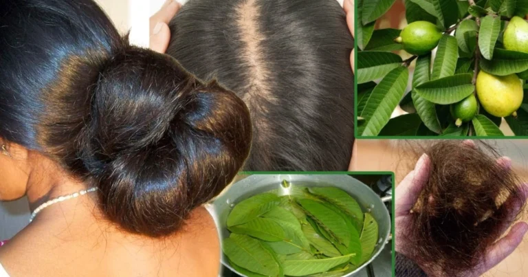 Mascarilla Capilar de Hojas de Guayaba y Aceite de Coco: El Secreto Natural para un Cabello Fuerte y Brillante