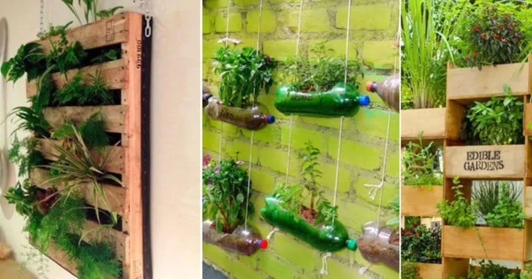 Crea tu propio mini muro de hierbas en casa (¡sin jardín!)