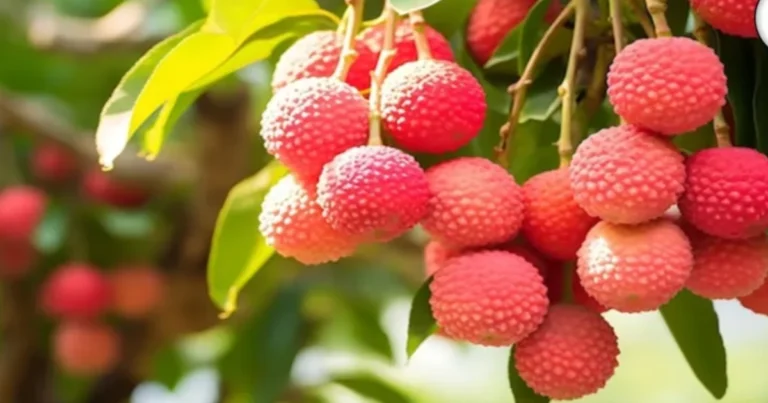 Árboles Frutales que Puedes Cultivar a Partir de Esquejes: ¡Haz Crecer tu Huerto de Forma Sencilla! 🍏🌳