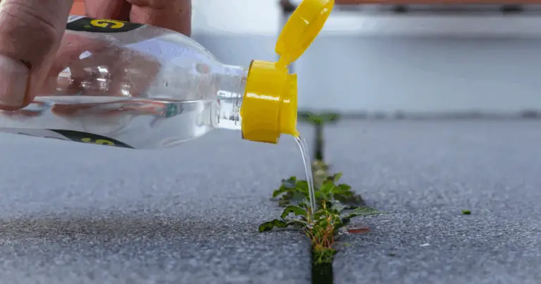 Herbicida Casero Efectivo: Elimina Mala Hierba sin Químicos