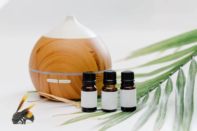 Aceites esenciales para repeler insectos de forma natural