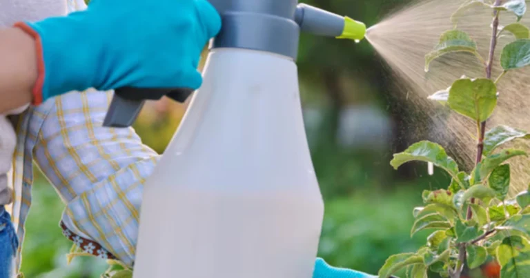 Adiós malezas: herbicida natural con 3 ingredientes, sin químicos y respetuoso con el medio ambiente