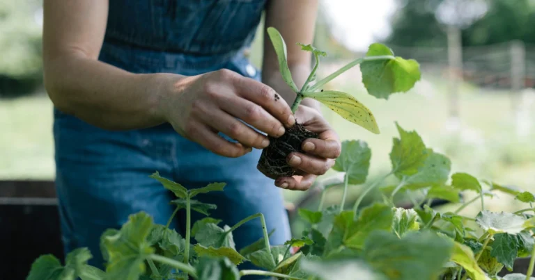 Trucos de jardinería caseros para un jardín sano y floreciente