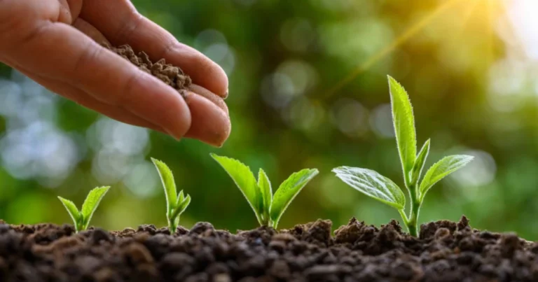 9 Fertilizantes Orgánicos para Potenciar tu Jardín de Forma Natural