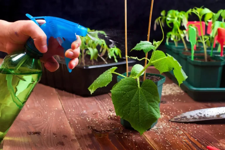 4 Pesticidas caseros ultra efectivos para proteger tu jardín de manera natural