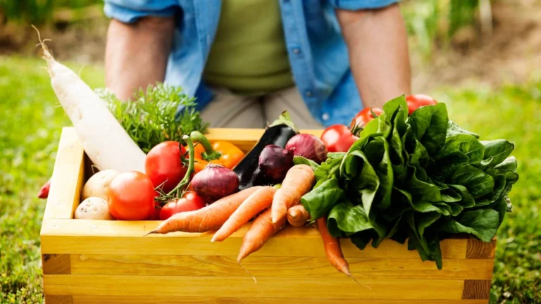 ¡9 Verduras para Cultivar en Cubos Este Agosto! 🌱🪣