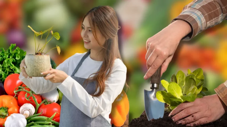 9 hortalizas que puedes plantar en agosto y cultivar en macetas con éxito