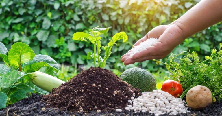 Cómo crear y utilizar la ceniza vegetal: un tesoro natural para el jardín