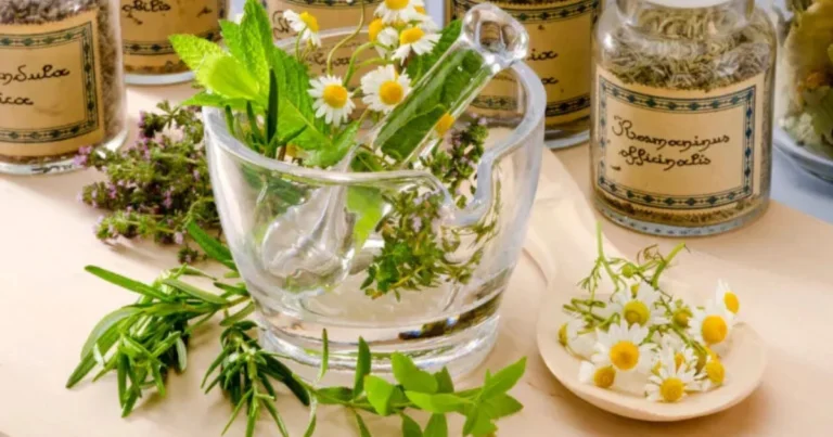 6 remedios naturales que pueden sustituir ciertos medicamentos