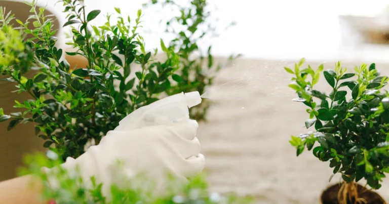 Insecticidas naturales caseros: protege tu jardín de forma ecológica