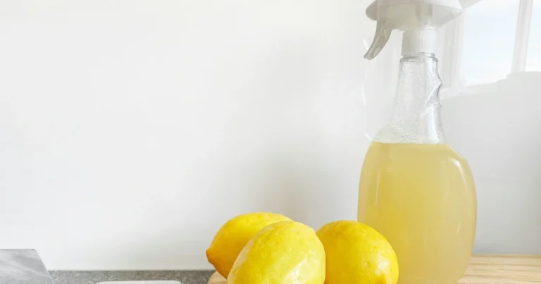 El Spray Mágico de la Abuela: Una Solución Natural para tu Hogar