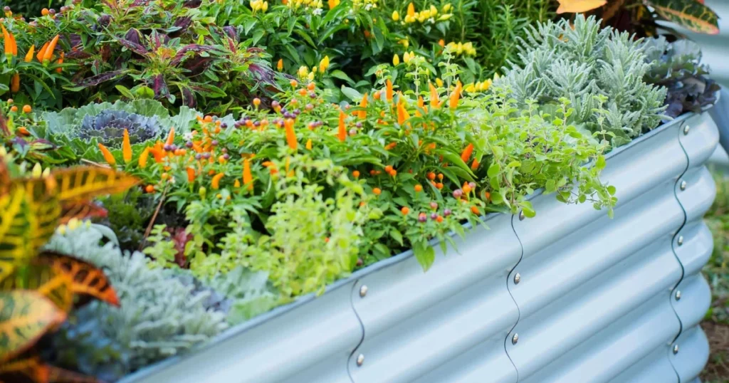 This image has an empty alt attribute; its file name is 2-48-1024x538.webp