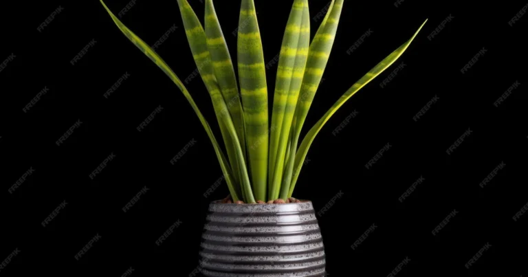 Planta Serpiente: Elegancia, Simplicidad y Aire Limpio en Tu Hogar