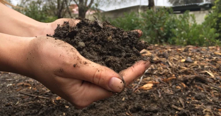 Abonos Naturales Personalizados: Nutrición Específica para un Jardín Saludable y Sostenible