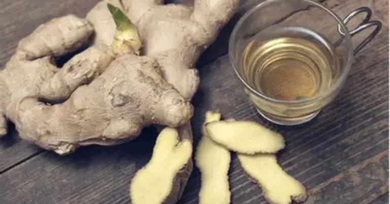 Desbloquea una Salud Vibrante con este Elixir de Jengibre, Clavo y Miel: Tu Dosis Diaria de Bienestar