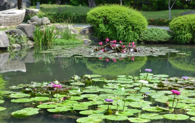 15 trucos de jardinería natural para aplicar desde hoy