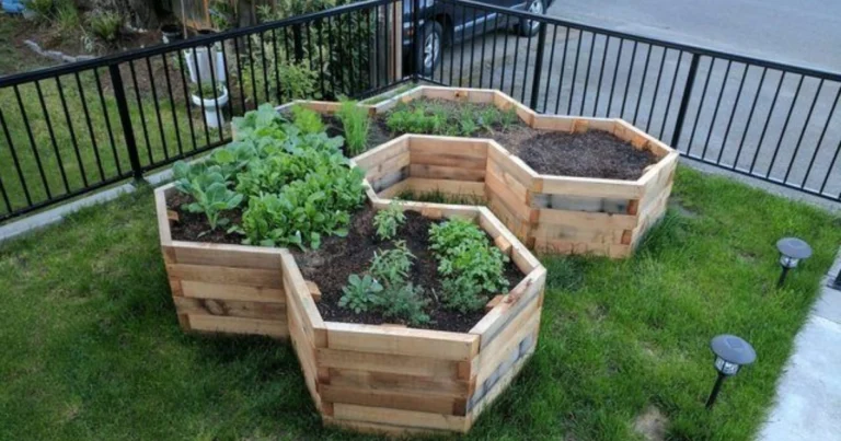 Huerto elevado hexagonal de madera: combina estética y productividad en tu jardín
