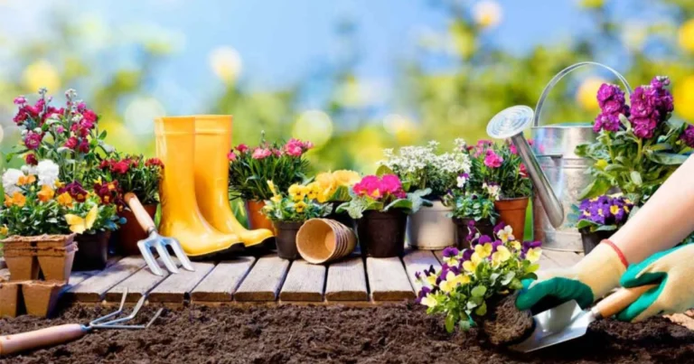 20 consejos fáciles de jardinería para principiantes y lograr un jardín próspero