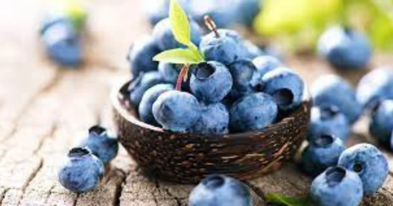 Cómo conservar arándanos frescos durante meses sin congelar