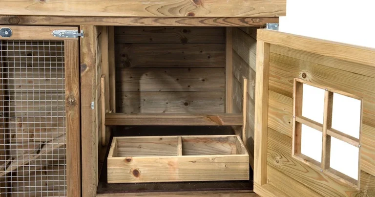 Cría de pollitos en jaulas de varios niveles: una solución moderna y eficiente