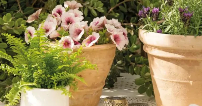 Cómo hacer florecer plantas que llevan años sin dar flores con un truco natural