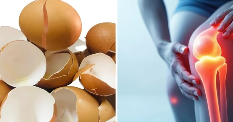 Cáscaras de huevo para las articulaciones: un recurso natural para fortalecer huesos