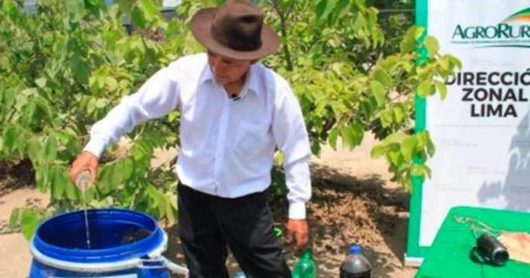 Guía práctica para elaborar biol, un abono foliar orgánico eficaz