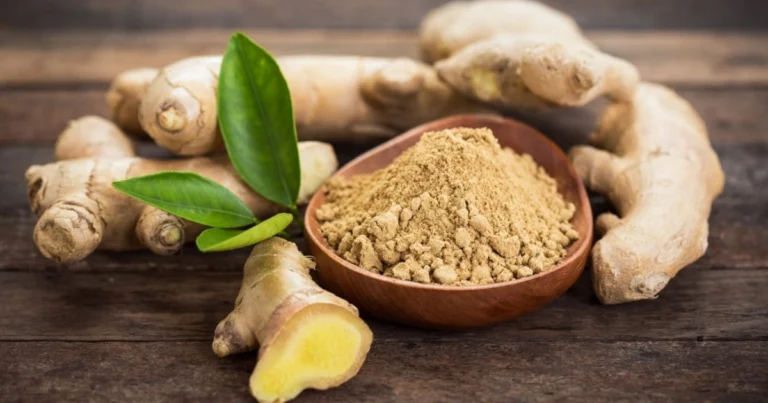 Como cultivar gengibre e cúrcuma em caixa de madeira: método simples e eficiente